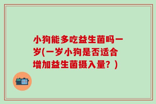 小狗能多吃益生菌吗一岁(一岁小狗是否适合增加益生菌摄入量？)