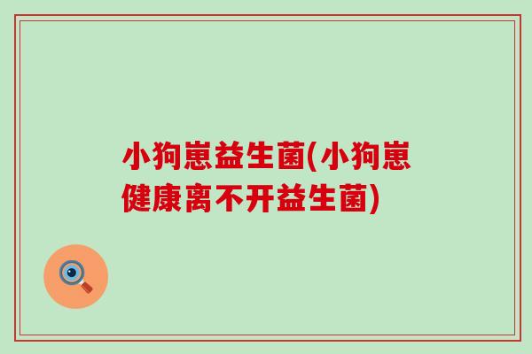 小狗崽益生菌(小狗崽健康离不开益生菌)