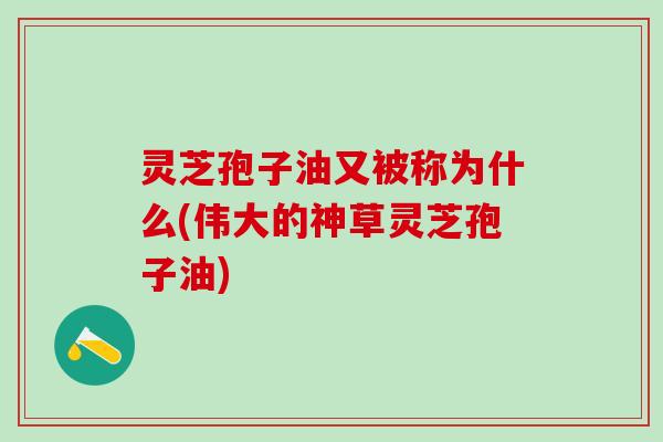 灵芝孢子油又被称为什么(伟大的神草灵芝孢子油)