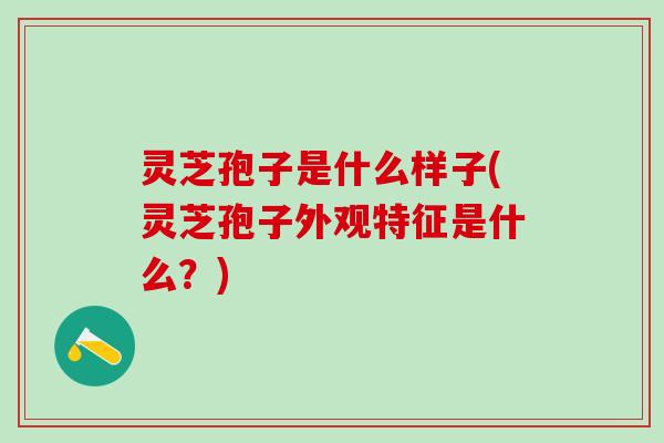 灵芝孢子是什么样子(灵芝孢子外观特征是什么？)