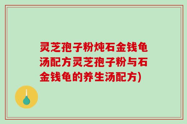 灵芝孢子粉炖石金钱龟汤配方灵芝孢子粉与石金钱龟的养生汤配方)