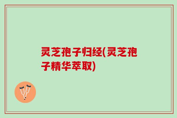灵芝孢子归经(灵芝孢子精华萃取) 灵芝孢子归经(灵芝孢子精华萃取)