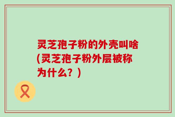 灵芝孢子粉的外壳叫啥(灵芝孢子粉外层被称为什么？)