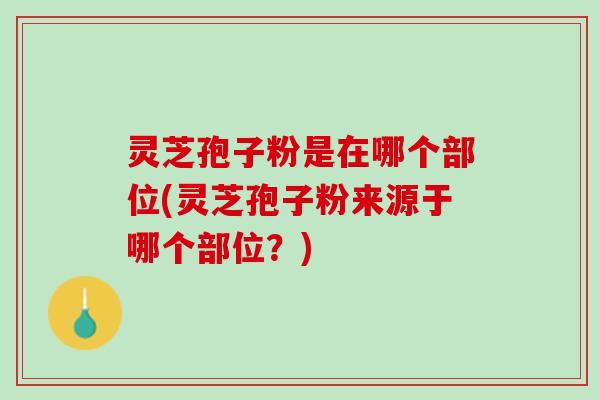 灵芝孢子粉是在哪个部位(灵芝孢子粉来源于哪个部位？)