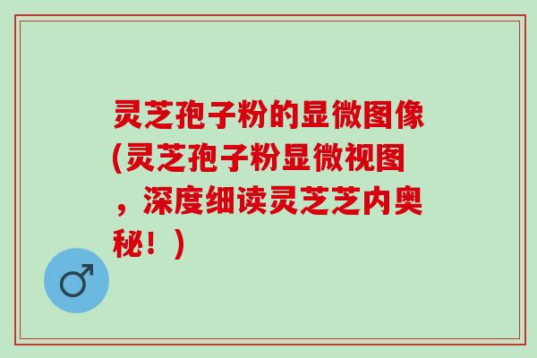 灵芝孢子粉的显微图像(灵芝孢子粉显微视图,深度细读灵芝芝内奥秘!) 灵芝孢子粉的显微图像(灵芝孢子粉显微视图,深度细读灵芝芝内奥秘!)