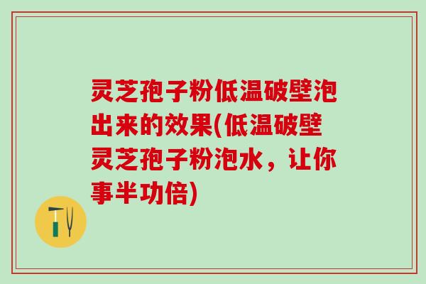 灵芝孢子粉低温破壁泡出来的效果(低温破壁灵芝孢子粉泡水,让你事半功倍) 灵芝孢子粉低温破壁泡出来的效果(低温破壁灵芝孢子粉泡水,让你事半功倍)
