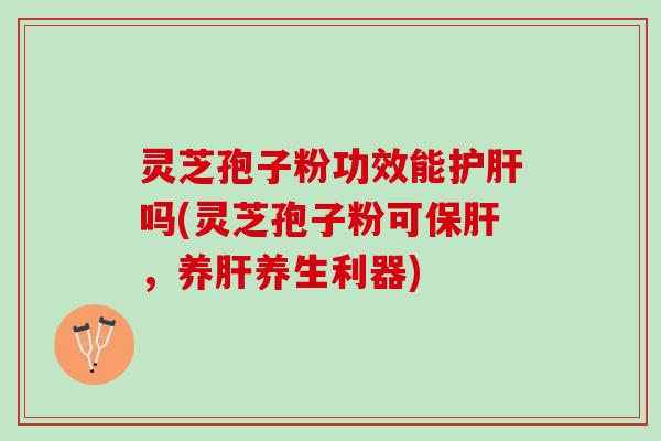 灵芝孢子粉功效能护肝吗(灵芝孢子粉可保肝，养肝养生利器)
