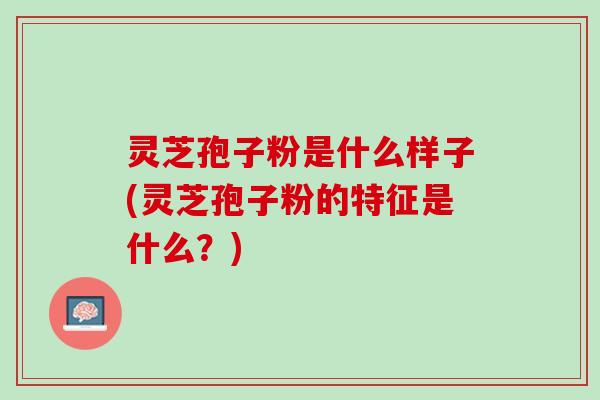 灵芝孢子粉是什么样子(灵芝孢子粉的特征是什么？)