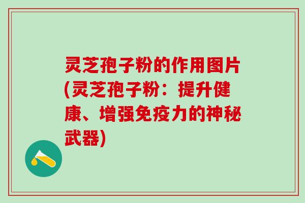 灵芝孢子粉的作用图片(灵芝孢子粉：提升健康、增强免疫力的神秘武器)
