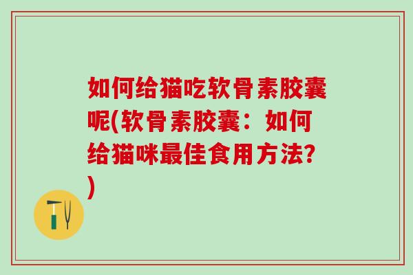 如何给猫吃软骨素胶囊呢(软骨素胶囊：如何给猫咪最佳食用方法？)