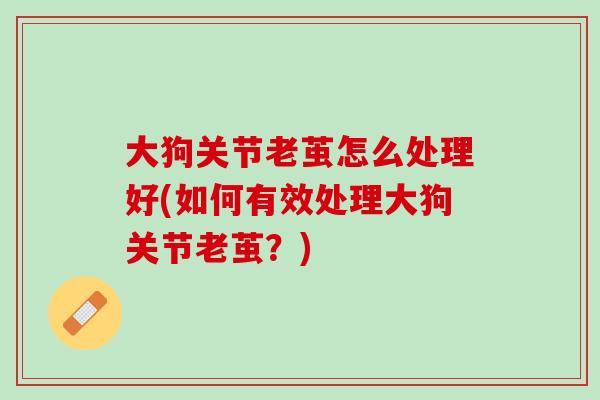 大狗关节老茧怎么处理好(如何有效处理大狗关节老茧？)