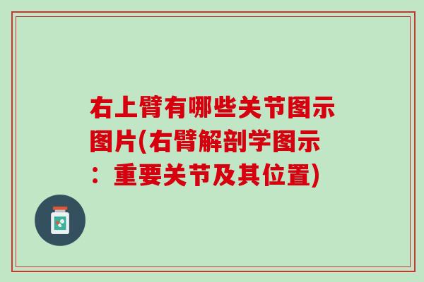 右上臂有哪些关节图示图片(右臂解剖学图示：重要关节及其位置)