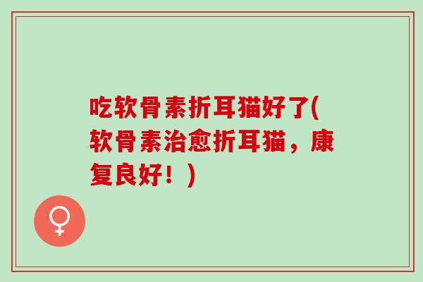 吃软骨素折耳猫好了(软骨素治愈折耳猫，康复良好！)