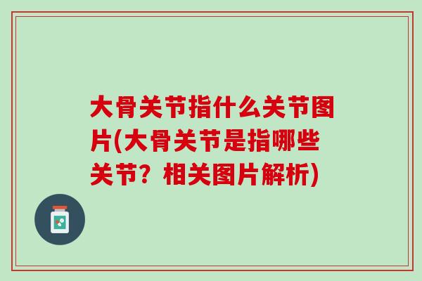 大骨关节指什么关节图片(大骨关节是指哪些关节？相关图片解析)