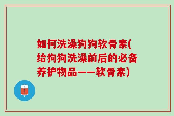 如何洗澡狗狗软骨素(给狗狗洗澡前后的必备养护物品——软骨素)