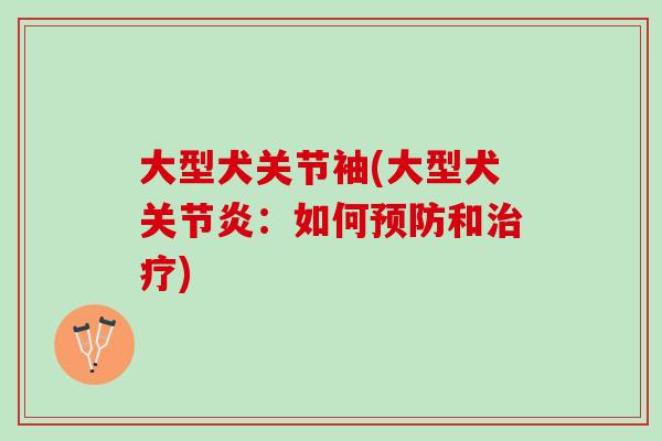 大型犬关节袖(大型犬关节炎：如何预防和治疗)