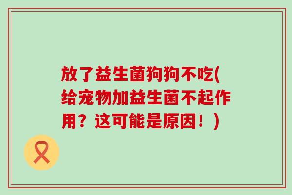 放了益生菌狗狗不吃(给宠物加益生菌不起作用？这可能是原因！)