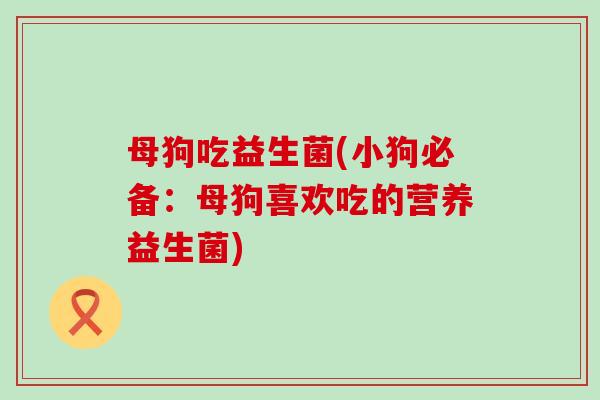 母狗吃益生菌(小狗必备：母狗喜欢吃的营养益生菌)