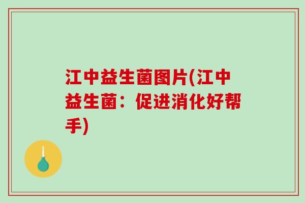 江中益生菌图片(江中益生菌：促进消化好帮手)