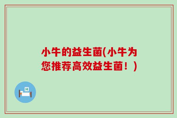 小牛的益生菌(小牛为您推荐高效益生菌！)