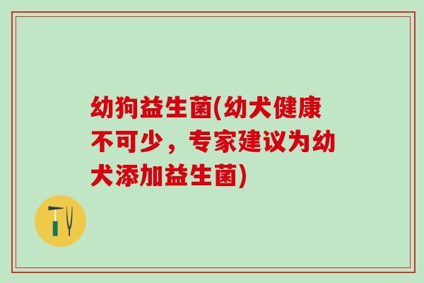 幼狗益生菌(幼犬健康不可少，专家建议为幼犬添加益生菌)