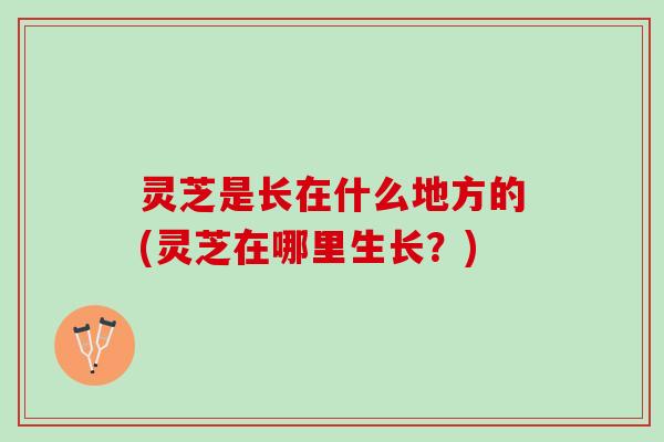 灵芝是长在什么地方的(灵芝在哪里生长？)