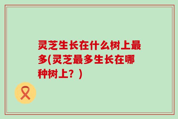 灵芝生长在什么树上最多(灵芝最多生长在哪种树上？)