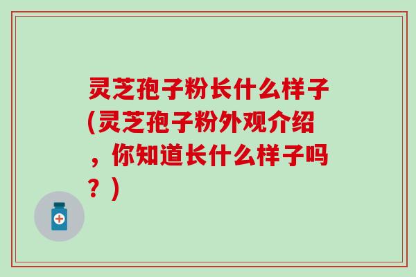 灵芝孢子粉长什么样子(灵芝孢子粉外观介绍，你知道长什么样子吗？)