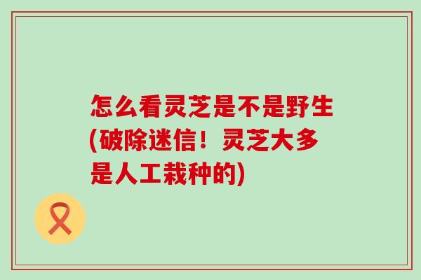 怎么看灵芝是不是野生(破除迷信！灵芝大多是人工栽种的)