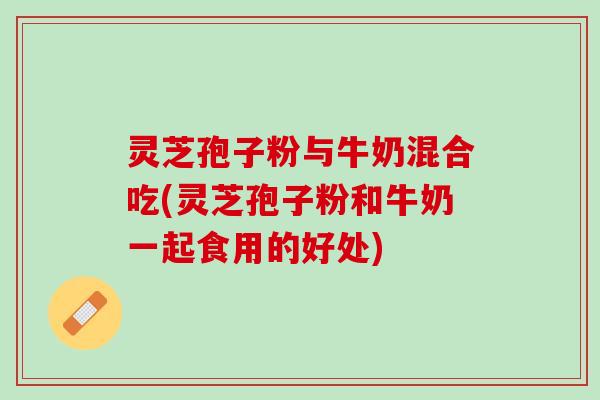 灵芝孢子粉与牛奶混合吃(灵芝孢子粉和牛奶一起食用的好处)