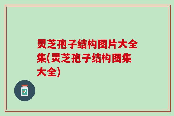 灵芝孢子结构图片大全集(灵芝孢子结构图集大全)