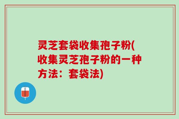 灵芝套袋收集孢子粉(收集灵芝孢子粉的一种方法：套袋法)