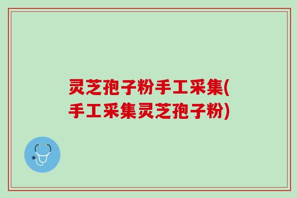 灵芝孢子粉手工采集(手工采集灵芝孢子粉)