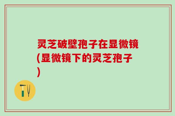 灵芝破壁孢子在显微镜(显微镜下的灵芝孢子)