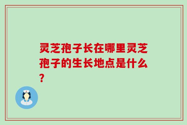 灵芝孢子长在哪里灵芝孢子的生长地点是什么？