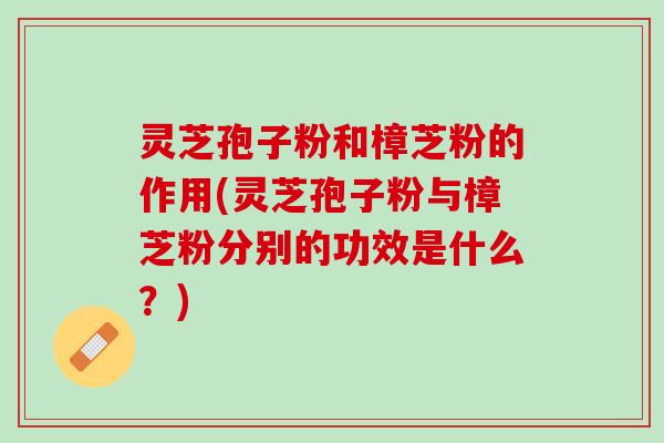 灵芝孢子粉和樟芝粉的作用(灵芝孢子粉与樟芝粉分别的功效是什么？)