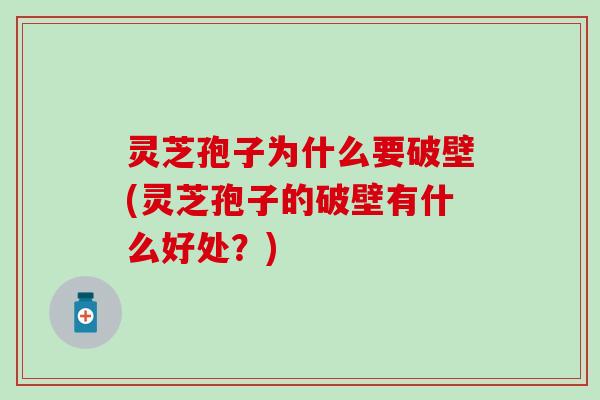 灵芝孢子为什么要破壁(灵芝孢子的破壁有什么好处？)