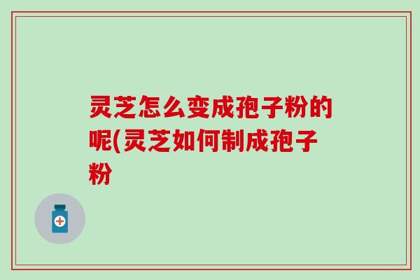 灵芝怎么变成孢子粉的呢(灵芝如何制成孢子粉