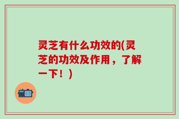 灵芝有什么功效的(灵芝的功效及作用，了解一下！)