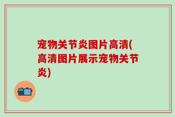 宠物关节炎图片高清(高清图片展示宠物关节炎)