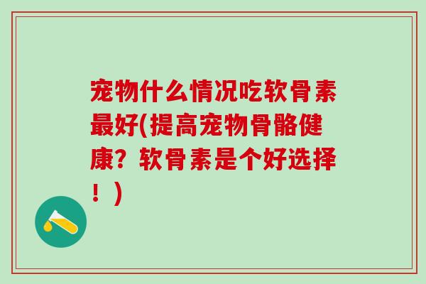 宠物什么情况吃软骨素最好(提高宠物骨骼健康？软骨素是个好选择！)