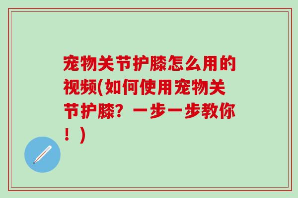 宠物关节护膝怎么用的视频(如何使用宠物关节护膝？一步一步教你！)