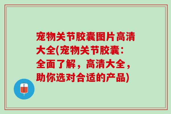 宠物关节胶囊图片高清大全(宠物关节胶囊：全面了解，高清大全，助你选对合适的产品)