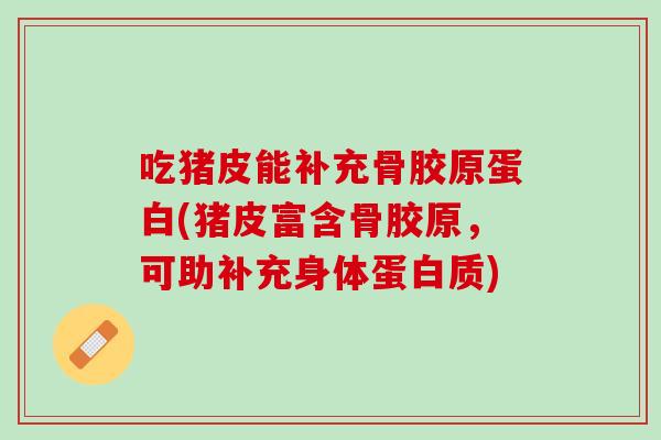 吃猪皮能补充骨胶原蛋白(猪皮富含骨胶原，可助补充身体蛋白质)