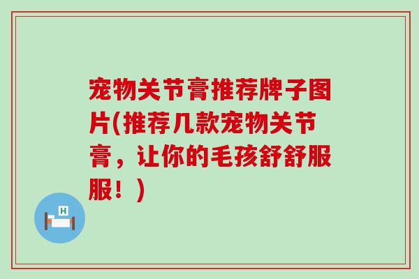 宠物关节膏推荐牌子图片(推荐几款宠物关节膏，让你的毛孩舒舒服服！)