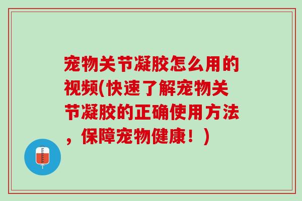 宠物关节凝胶怎么用的视频(快速了解宠物关节凝胶的正确使用方法，保障宠物健康！)