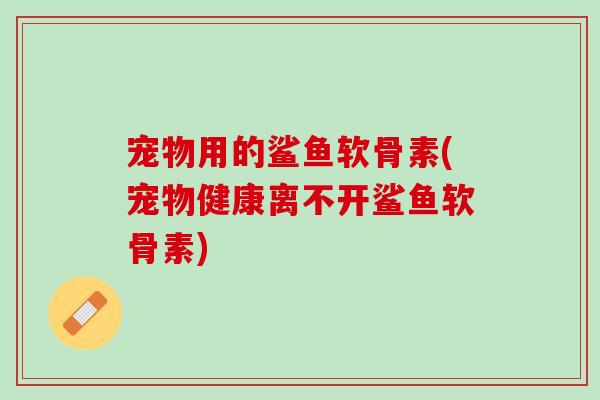宠物用的鲨鱼软骨素(宠物健康离不开鲨鱼软骨素)