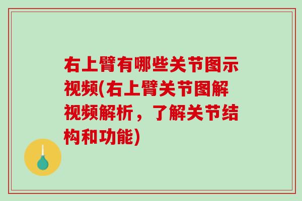 右上臂有哪些关节图示视频(右上臂关节图解视频解析，了解关节结构和功能)
