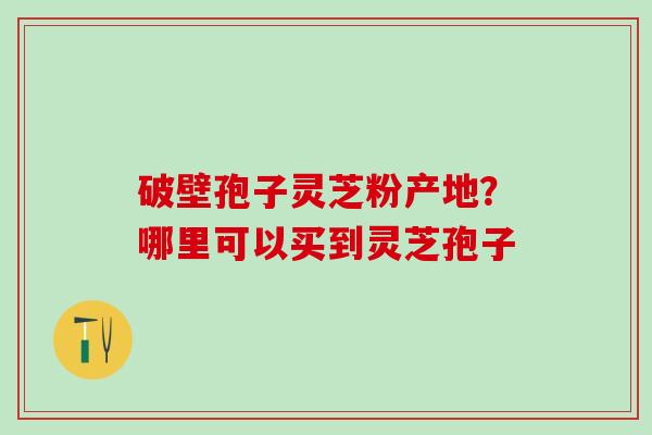 破壁孢子灵芝粉产地？哪里可以买到灵芝孢子