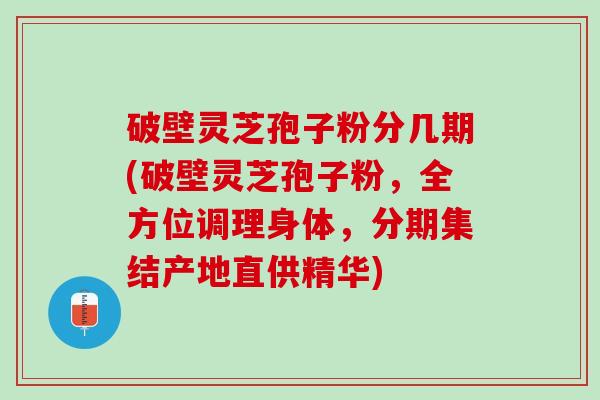 破壁灵芝孢子粉分几期(破壁灵芝孢子粉，全方位调理身体，分期集结产地直供精华)